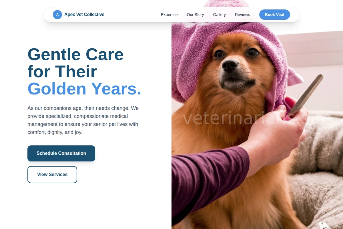 Geriatric Animal Care