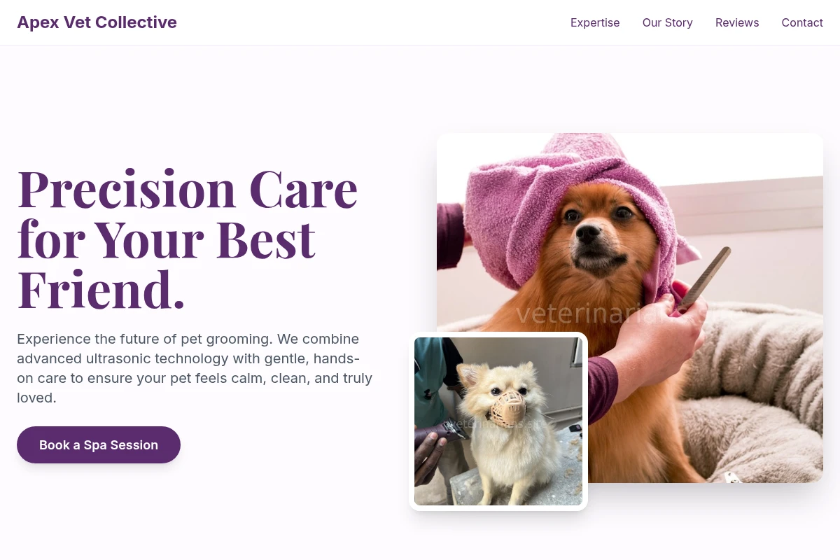Ultrasound Pet Grooming