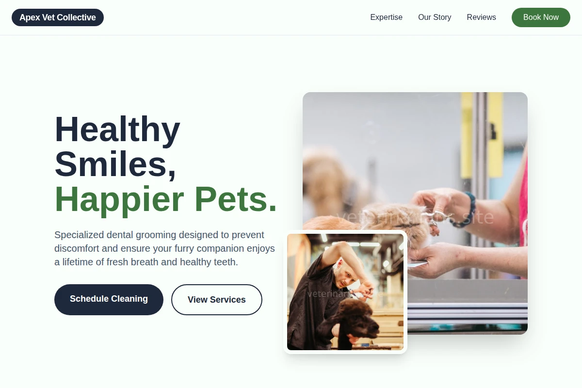 Dental Pet Grooming