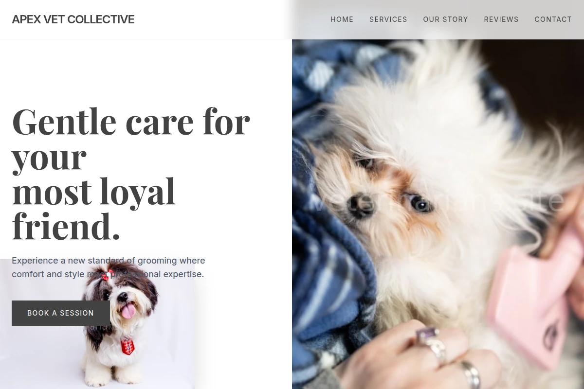Checkup Pet Grooming