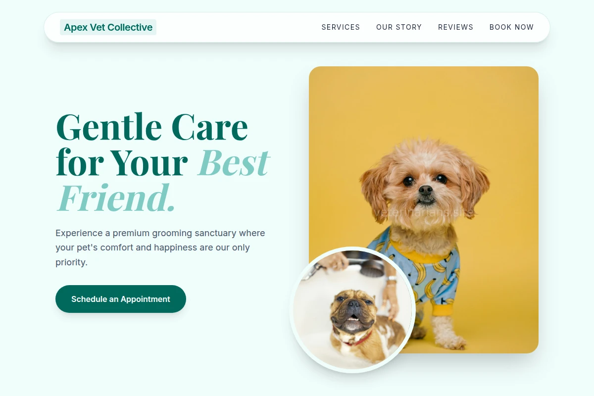 Appointment Pet Grooming