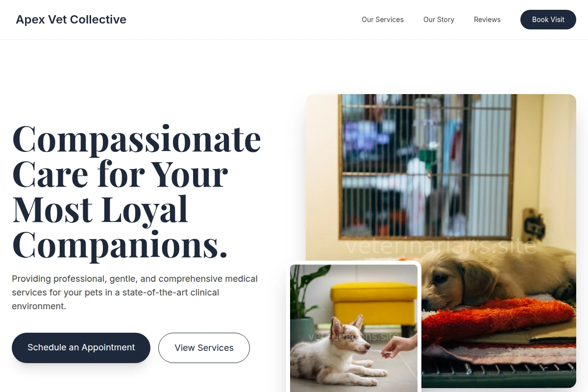 Stethoscope Veterinary