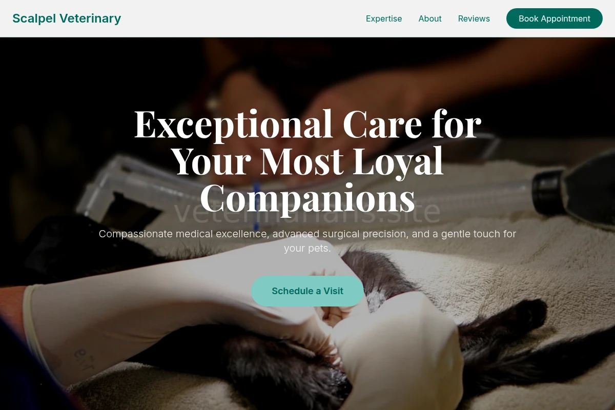 Scalpel Veterinary