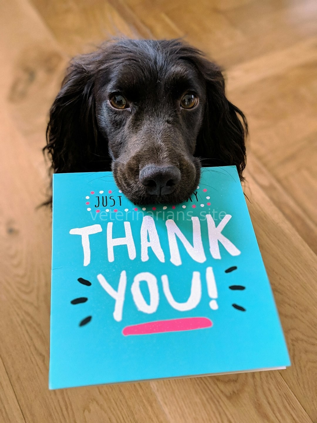 Reel 4